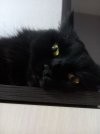 20260111_184429.jpg