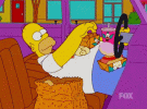 simpsons-homer-simpson.gif