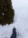 1769678458595..jpg
