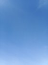 1769680372063..jpg 1769680372063..jpg