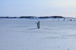 IMG_20260205_231046_531.jpg