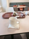 IMG_20260213_165955_728.jpg