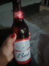 IMG20260131195410.jpg