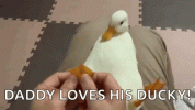 duck-foot-rub.gif