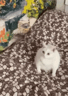 1771355879941.gif