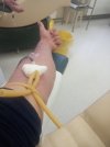 20260219_085748.jpg