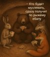 IMG_2902.jpeg