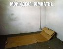 8EjM2GdifFg.jpg