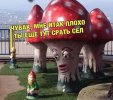 d__kcdHaAzQ.jpg