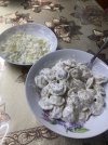 IMG_2913.jpeg