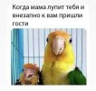 sz-ZkqoM9Ck.jpg