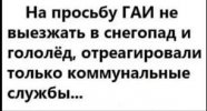 images (43).jpeg