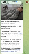 IMG_7966.jpeg