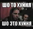 IMG_2972.jpeg