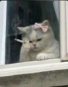 IMG_2980.jpeg