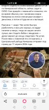 Screenshot_20260305_115106_com.yandex.browser.jpg