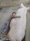 IMG_3090.jpeg