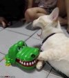 IMG_3105.jpeg
