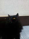 20260312_200716.jpg