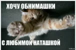 IMG_3368.webp