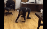 IMG_0769.gif