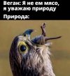 1000014745.jpg 1000014745.jpg