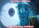 1000014347.jpg