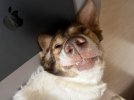 IMG_0907.jpeg