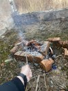 IMG_3371.jpeg