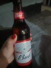 IMG20260131195410.jpg