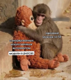 1777148656042.png