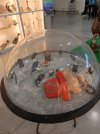 IMG_20240613_181839.jpg