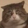 IMG_3641.jpeg