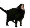 IMG_3642.jpeg