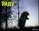 2789893.gif