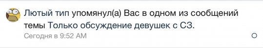 IMG_1980.jpeg