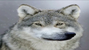 1778403023470.png 1778403023470.png