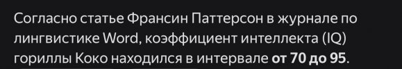 IMG_1993.jpeg