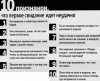 post-128444-1606981970.jpeg