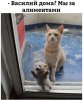 98f7e9ed322ffba83b94ff915cb9bffc.jpg