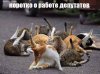84563ca19b33904c96ecd5fd36f472c1.jpg
