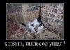 1358260732_tspxgvq4omk.jpg