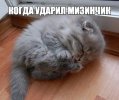 kogda-udaril-mizinchik-list.jpg
