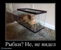 f_30320.jpg