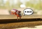 1000030162.jpg