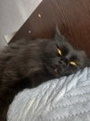 20260508_180959.jpg