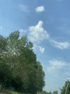 IMG_3827.jpeg