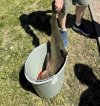 IMG_20260522_133836.jpg