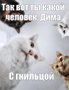1000030432.jpg
