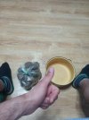 20260525_200125.jpg